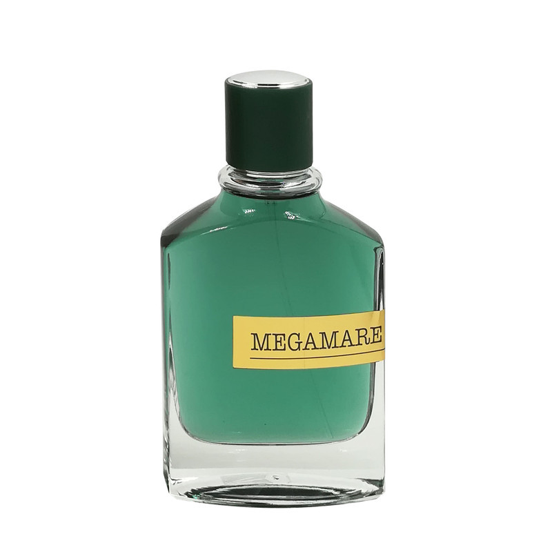 عطر جیبی مردانه دلگادو مدل مگاماره با رایحه خنک حجم 25 میلی لیتر