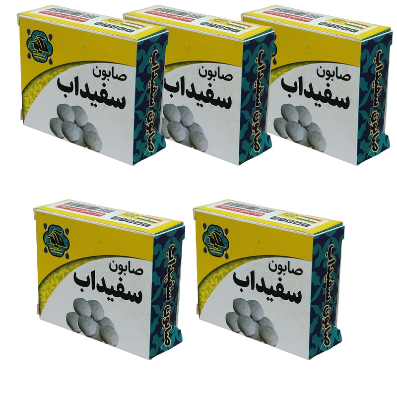 صابون شستشو گیاهستان حکیم مدل سفیدآب وزن 70 گرم بسته 5 عددی
