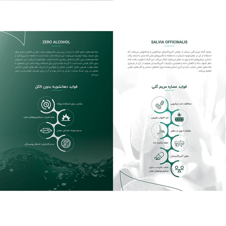 دهان شویه دنتیلایت مدل پست بیوتیک حجم 500 میلیلیتر