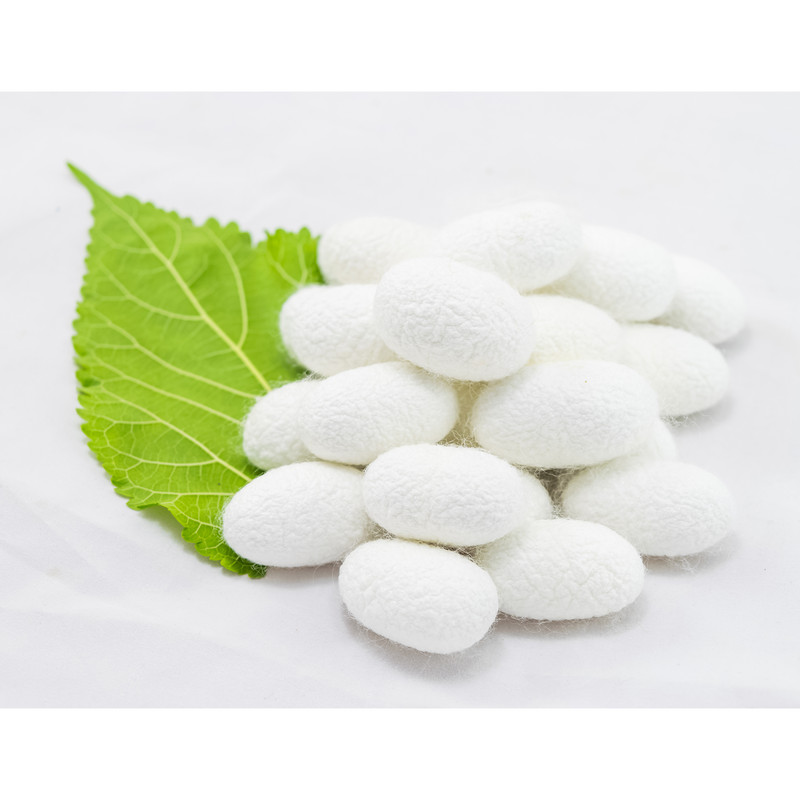 ژل آبرسان نیوشاین مدل آلوئه ورا و پروتئین ابریشم حجم 250 میلی لیتر