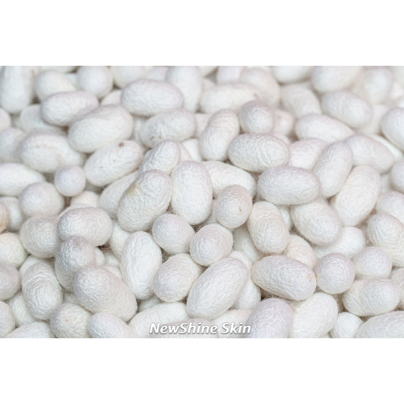 ژل آبرسان نیوشاین مدل آلوئه ورا و پروتئین ابریشم حجم 250 میلی لیتر