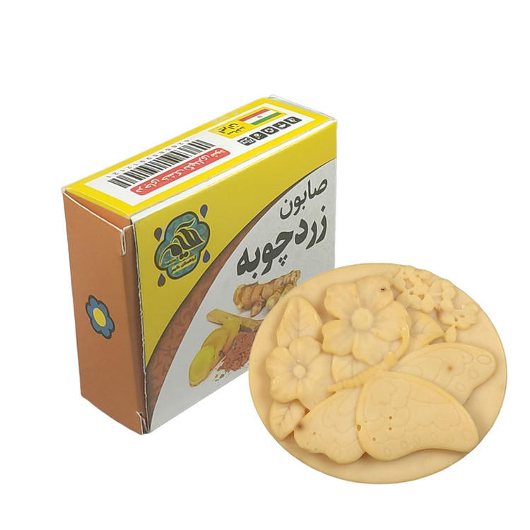 صابون شستشو گیاهستان حکیم مدل زردچوبه وزن 60 گرم