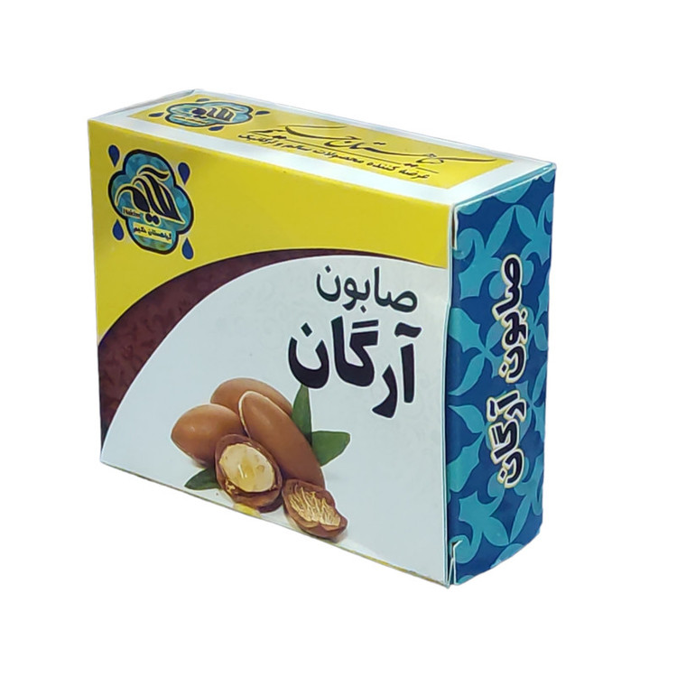 صابون شستشو گیاهستان حکیم مدل آرگان وزن 70 گرم بسته 2 عددی