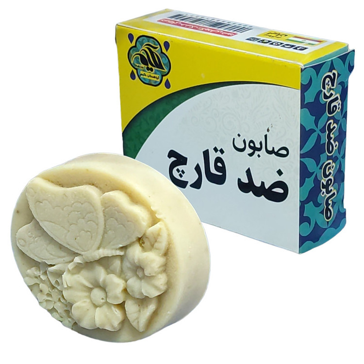 صابون شستشو گیاهستان حکیم مدل ضد قارچ وزن 70 گرم بسته 5 عددی