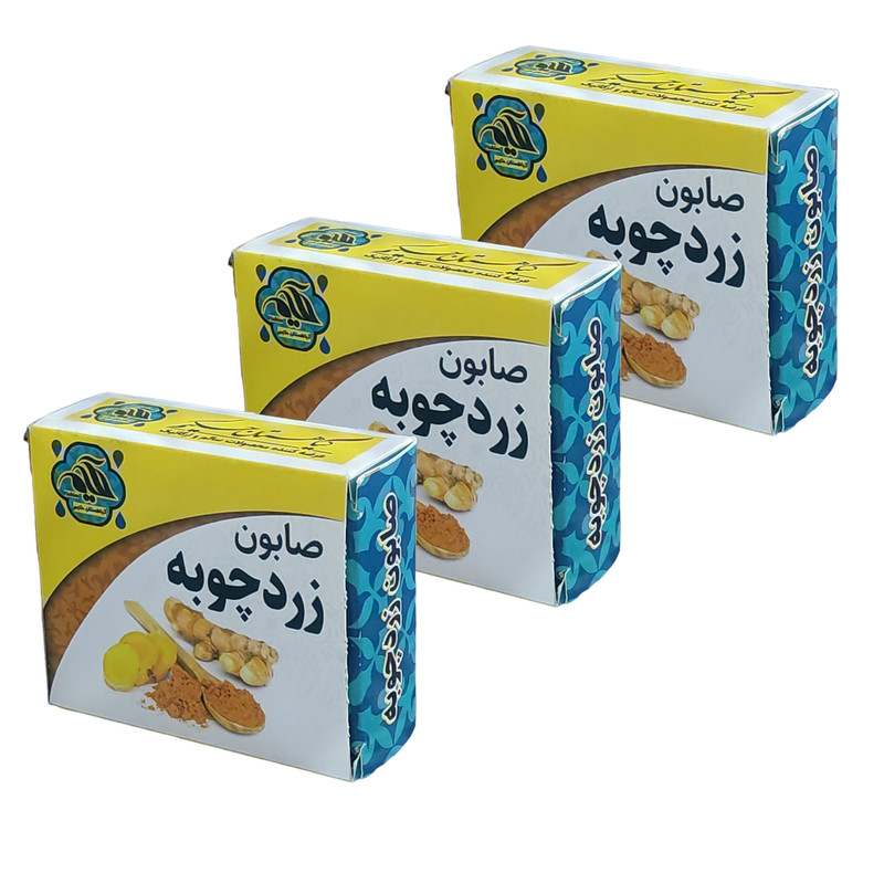 صابون شستشو گیاهستان حکیم مدل زردچوبه  وزن 70 گرم بسته سه عددی