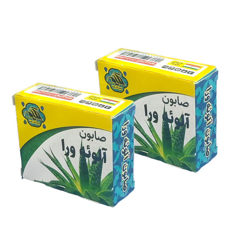 صابون شستشو گیاهستان حکیم مدل آلوئه ورا وزن 70 گرم بسته دو عددی
