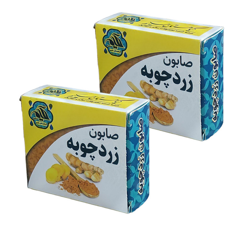 صابون شستشو گیاهستان حکیم مدل زردچوبه وزن 70 گرم بسته 9 عددی