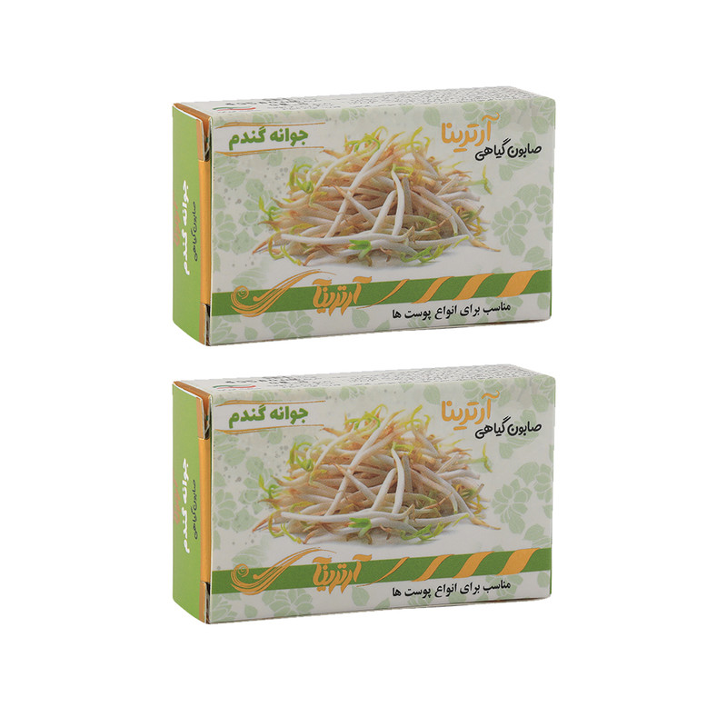 صابون شستشو آرترینا مدل جوانه گندم وزن 70 گرم مجموعه 2 عددی