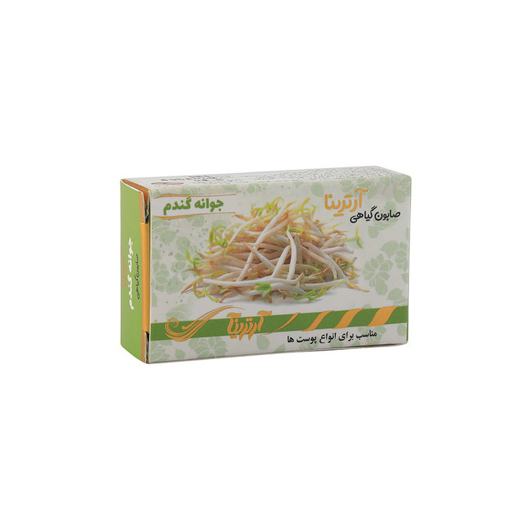 صابون شستشو آرترینا مدل جوانه گندم وزن 70 گرم مجموعه 2 عددی