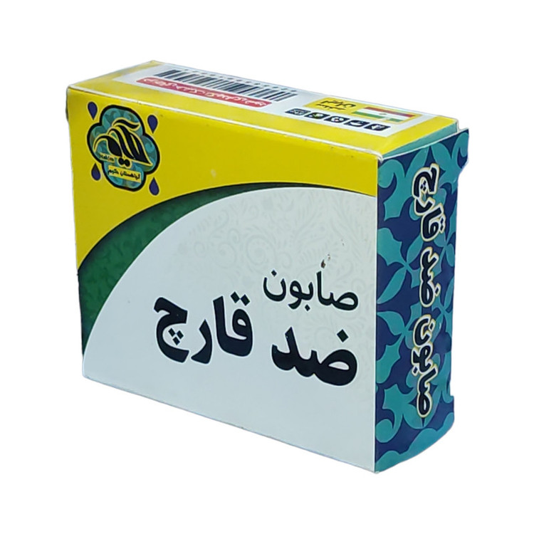صابون شستشو گیاهستان حکیم مدل ضد قارچ وزن 70 گرم بسته 4 عددی