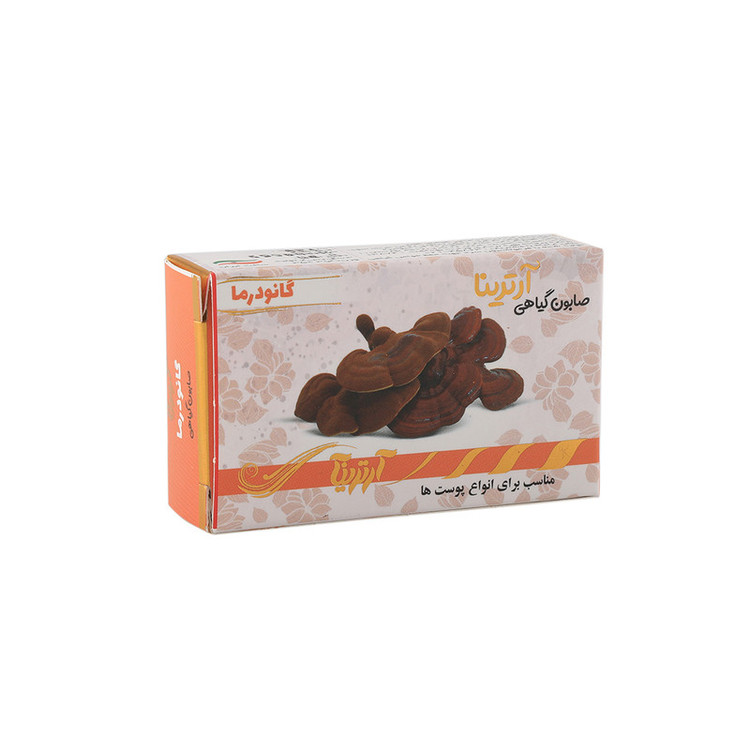 صابون شستشو آرترینا مدل گانودرما وزن 70 گرم مجموعه 2 عددی