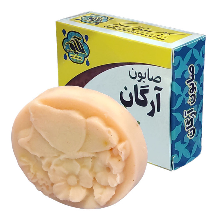 صابون شستشو گیاهستان حکیم مدل آرگان وزن 70 گرم بسته 3 عددی
