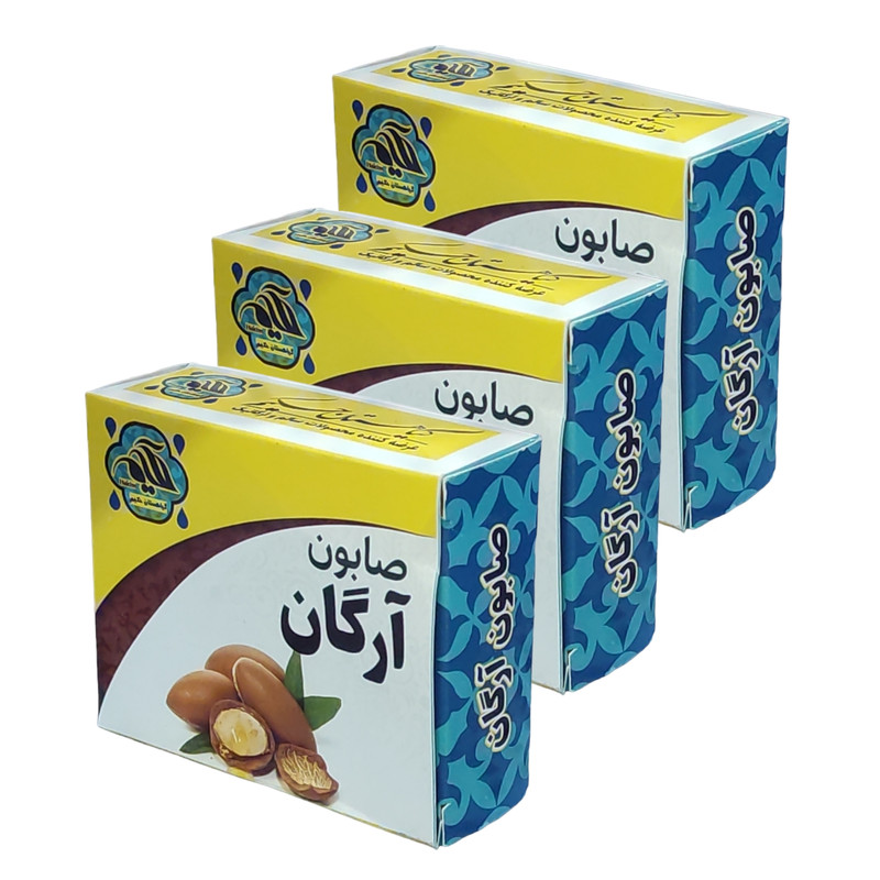 صابون شستشو گیاهستان حکیم مدل آرگان  وزن 70 گرم بسته 3 عددی
