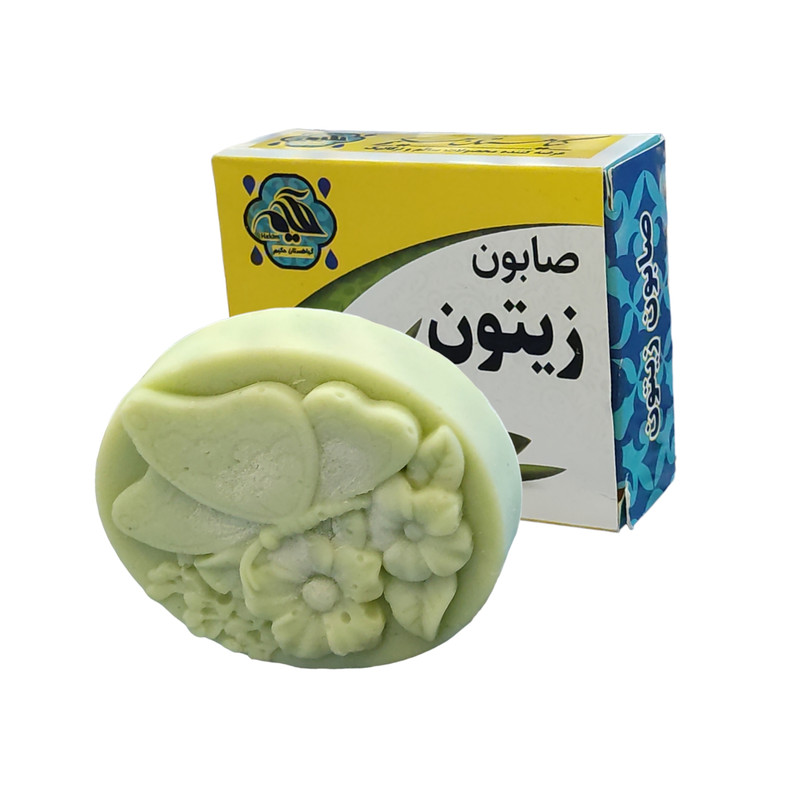 صابون شستشو گیاهستان حکیم مدل زیتون وزن 70 گرم