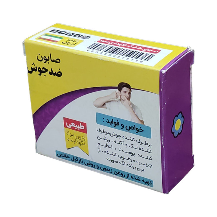 صابون شستشو گیاهستان حکیم مدل ضد جوش وزن 70 گرم بسته 2 عددی