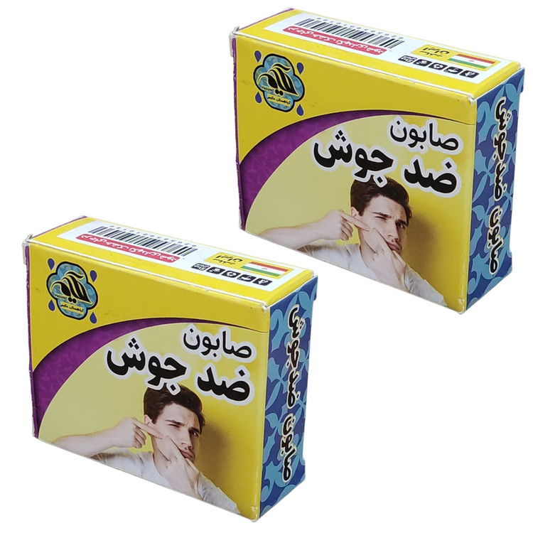 صابون شستشو گیاهستان حکیم مدل ضد جوش وزن 70 گرم بسته 2 عددی