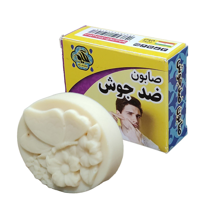 صابون شستشو گیاهستان حکیم مدل ضد جوش وزن 70 گرم بسته 2 عددی