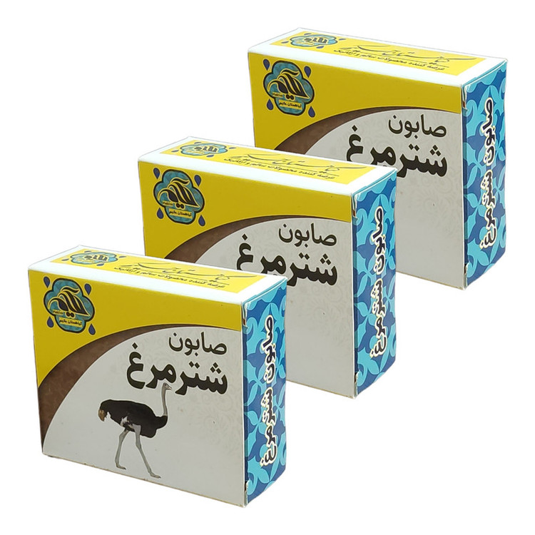 صابون شستشو گیاهستان حکیم مدل شترمرغ وزن 70 گرم بسته 3 عددی