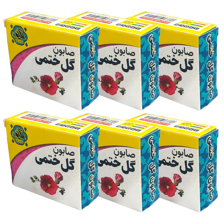 صابون شستشو گیاهستان حکیم مدل گل ختمی وزن 70 گرم بسته شش عددی