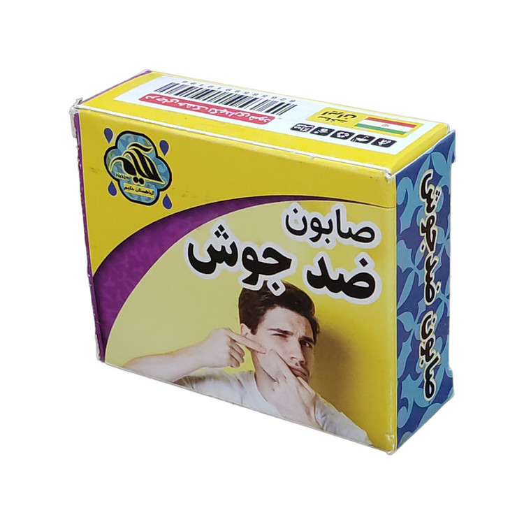 صابون شستشو گیاهستان حکیم مدل ضد جوش وزن 70 گرم بسته 4 عددی