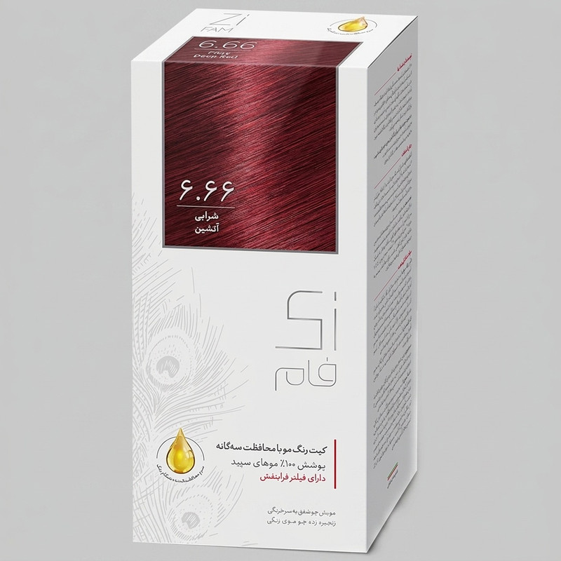 کیت رنگ مو زی فام شماره 6.66 حجم 50 میلی لیتر شرابی آتشین