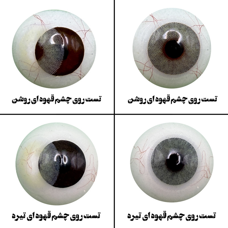 لنز چشم هرا مدل 06 فصلی کد SCA210 رنگ طوسی سبز روشن بدون دور