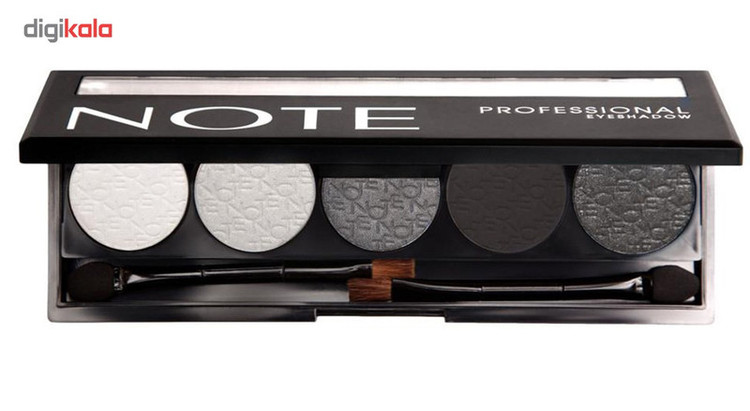 پالت سایه چشم نوت سری Professional Palette تحت لیسانس شماره105