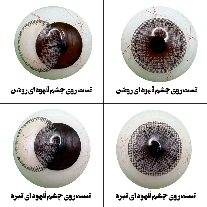 لنز چشم هرا مدل 16 سالانه کد NOB 290 رنگ طوسی عسلی رگه ای دوردار